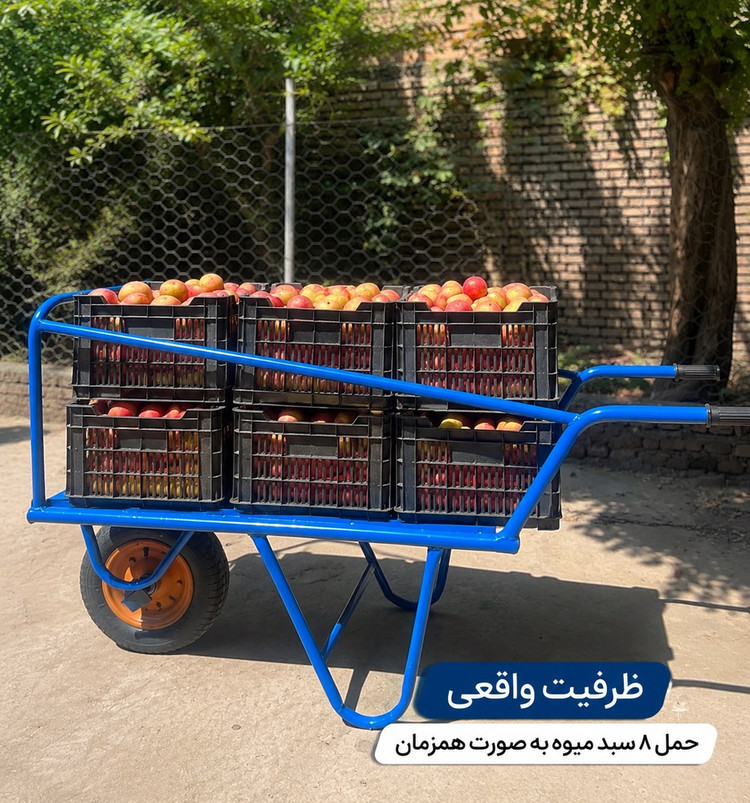 فرغون باغی مقاوم و ظرفیت بالا